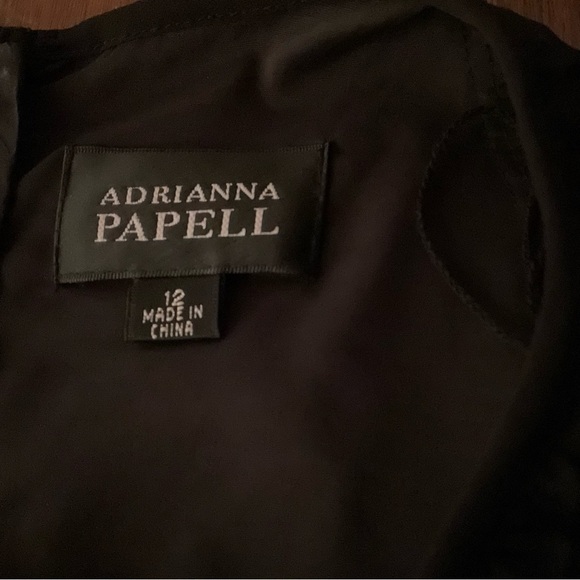 Adrianna Papell Dress Black Lace Mesh Shift Longsleeve Lined Size 12 L - Picture 3 of 10